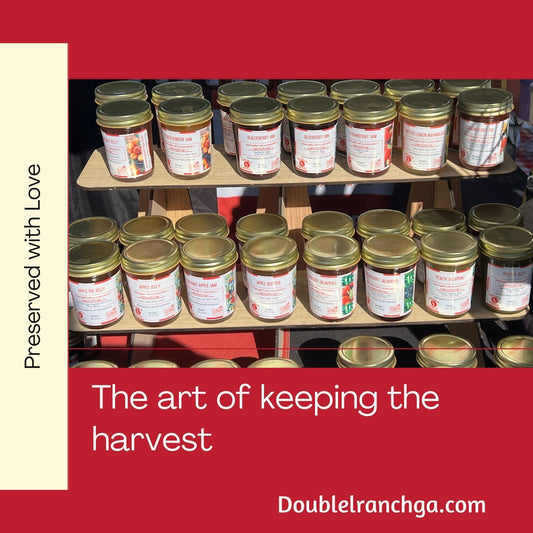 The Sweet Benefits of Homemade Jams and Jellies