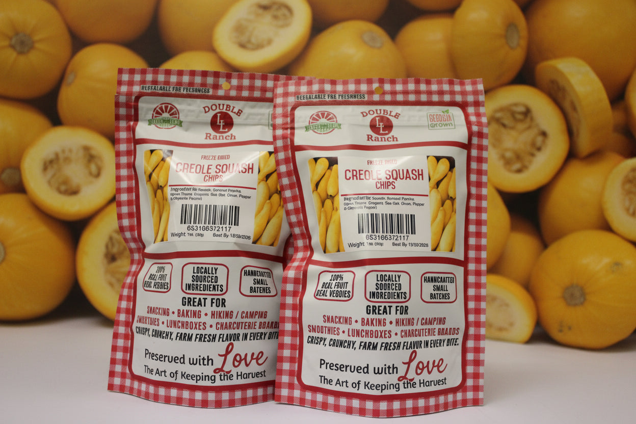 Creole Squash Chips